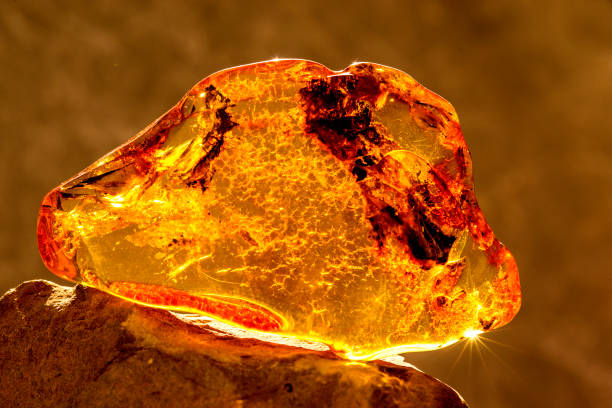 istock Amber in sun with inclusions 1132305560