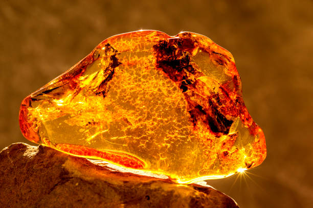янтарь на солнце с включениями - amber стоковые фото и изображения