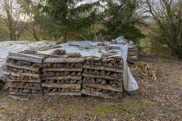 istock Sawn, split wood, trunks lie in the meadow. Theme: Alternative heating methods and environmental protection. 1132307707