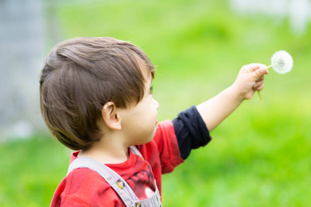 istock Happy boy blowing dandelion 1132310417