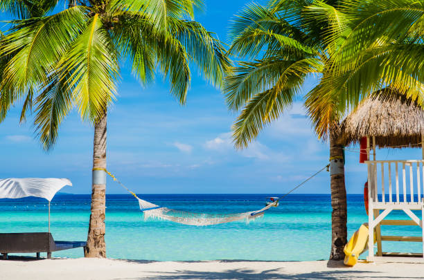 istock Lifeguard Hut and Hammock under palm trees on tropical beach 1132312213