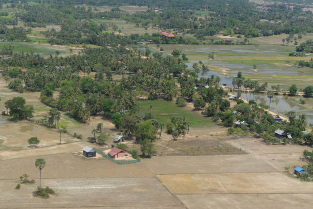 istock CAMBODIA SIEM REAP LANDSCAPE RICEFIELD 1132314006