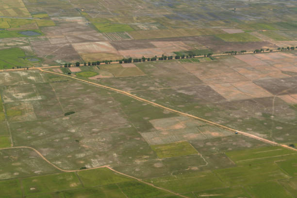 istock CAMBODIA SIEM REAP LANDSCAPE RICEFIELD 1132314199