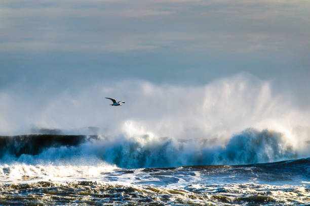 Huge ocean swells during a storm.