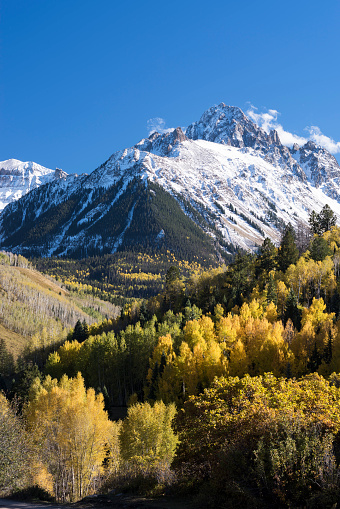 Mount Sneffels is within the Uncompahgre National Forest. An early fall snowstorm covers the mountain range  with aspen groves in full color.