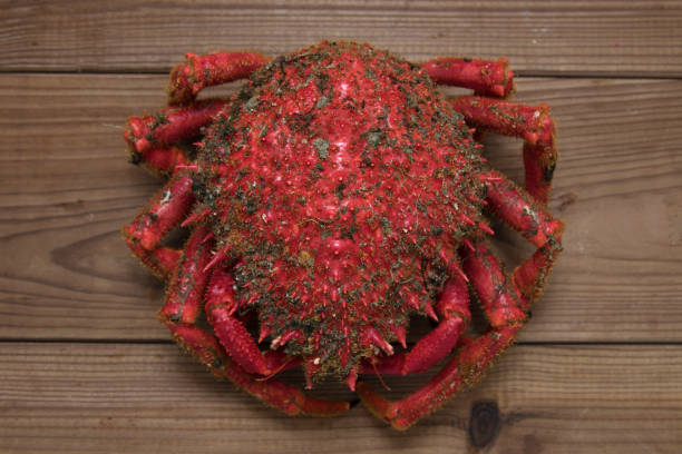 istock fresh sea crab on vintage wood 1132317885