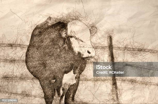 Sketch Of An Angry Mean Bull And The Evil Eye Stock Illustration - Download Image Now - Anger, Animal, Bull - Animal