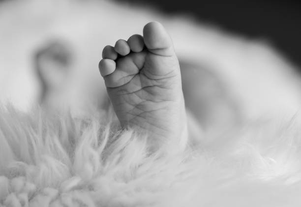 かわいい新生児の男の子の足 - human foot baby black and white newborn ストックフォトと画像
