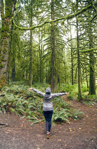 istock Young beautiful woman hiking in the tree area 1132321990