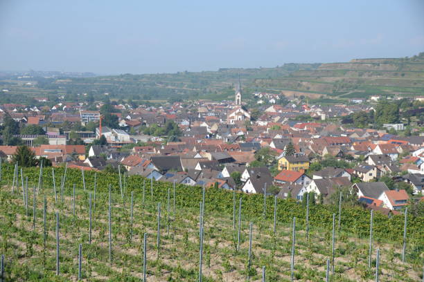 istock Your at Kaiserstuhl, Germany 1132322393