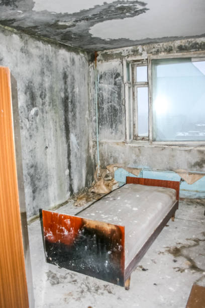 istock Pripyat, exclusion zone of the Chernobyl disaster. 1132323270