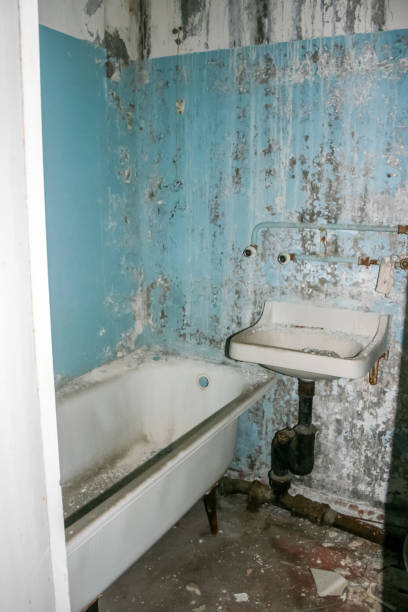 istock Pripyat, exclusion zone of the Chernobyl disaster. 1132323272