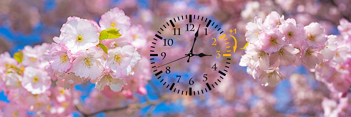 Alarm clock in spring flowers symbolizes the time change from winter time to summer time