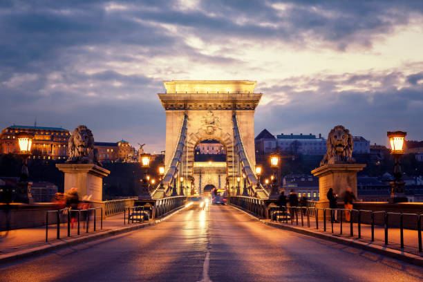 idyllic view of chain bridge in budapest at twilight - chain bridge budapest bridge lion imagens e fotografias de stock