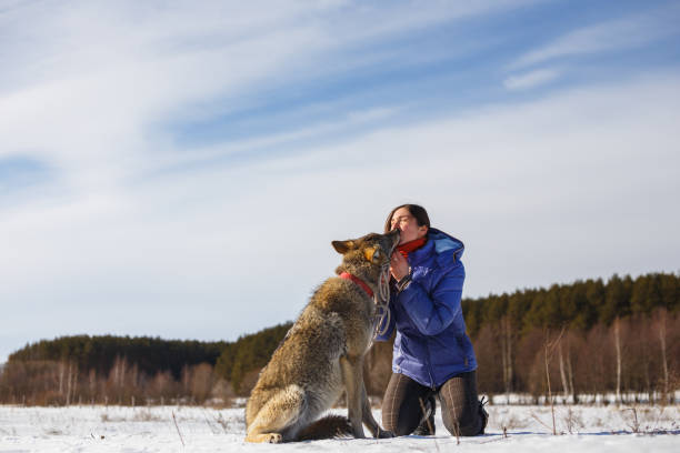istock Woman and Her Wolf in the Snow 1132324021