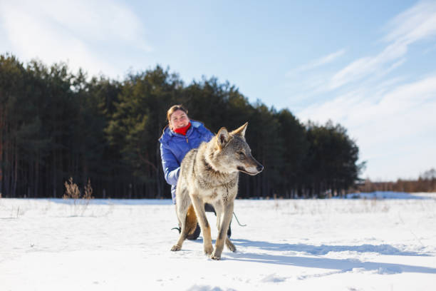 istock Woman and Her Wolf in the Snow 1132324665