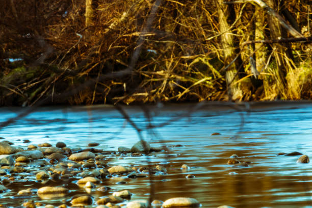 Long exposure shot of dawn light on a river, through the forest foliage