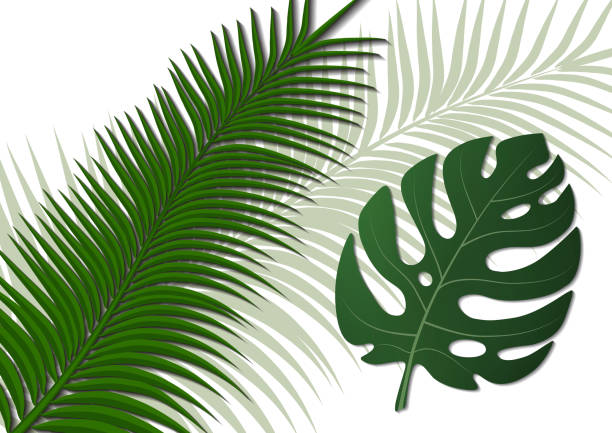 istock Tropical bright flyer, leaflet with monster leaves and palm trees. Exotic tropical trendy print. Invitation to a party in an exotic style. Vector illustration. 1132325332