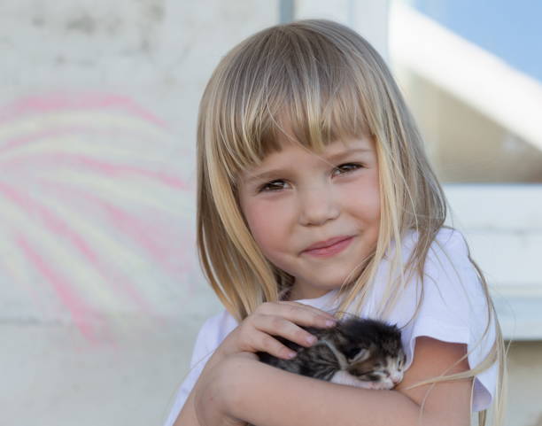 istock Girl, kittens, embrace, fun, close up 1132326680