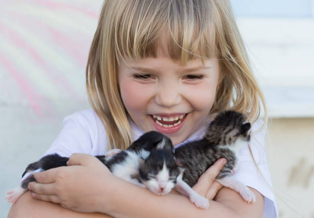 istock Girl, kittens, embrace, fun, close up 1132326732