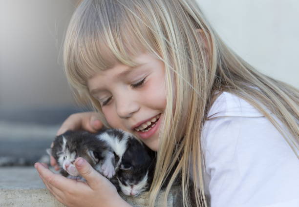 istock Girl, kittens, embrace, fun, close up 1132326785