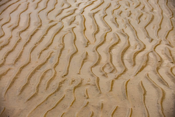 istock Coastal sand strip at low tide 1132328617