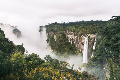 Waterfall of Itaimbezinho Canyon with fog at Aparados da Serra National Park - Cambara do Sul, Rio Grande do Sul, Brazil