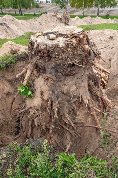 istock Trench in the Ground 1132330177