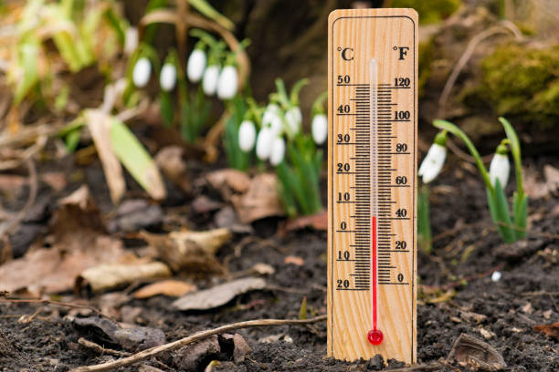 istock wooden thermometer outside temperature 1132331475
