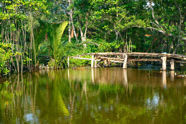 istock Lake in Vung Bau, Phu Quoc island 1132331714