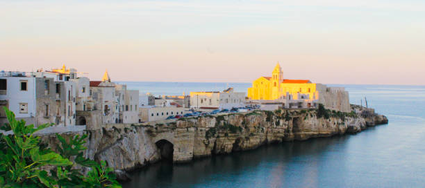 istock Sunset on Vieste, Puglia, Italy 1132338226