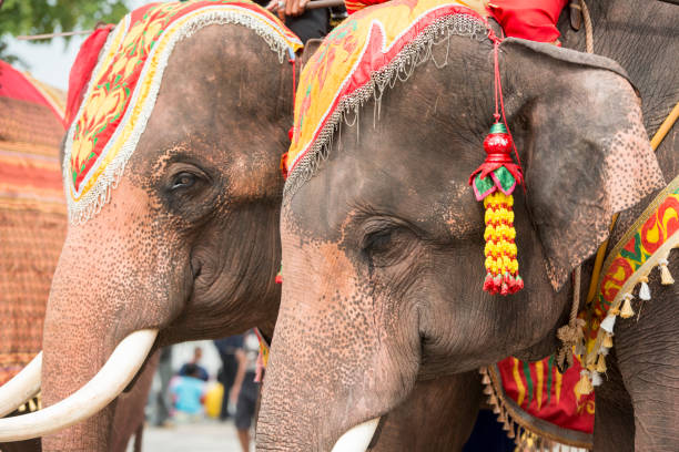 istock THAILAND BURIRAM SATUEK LONGBOAT RACE 1132338234