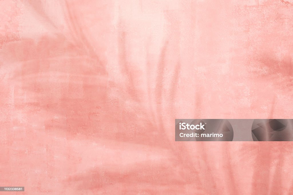 Pink Background,Palm Leaf Shadow Abstract,Backgrounds,Wall,Shadows,Summer,Textured Summer Stock Photo