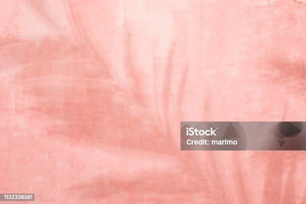 Pink Backgroundpalm Leaf Shadow Stock Photo - Download Image Now - Summer, Textured, Textured Effect