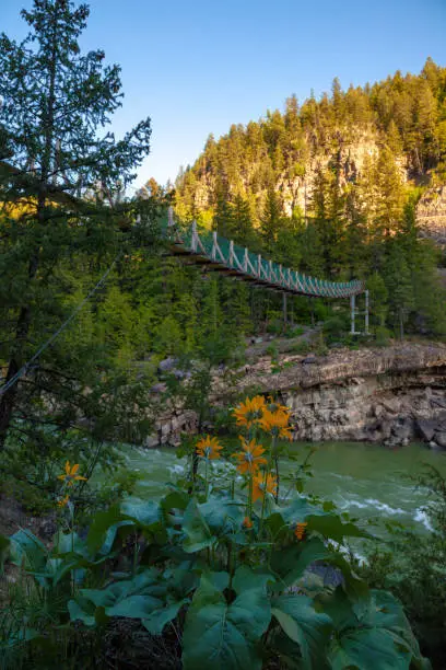 Photo of Kootenai Falls Suspension Bridge ove the Kootenay river near Libby Montana