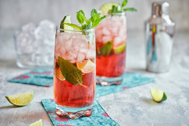 Kombucha Mojito with Fresh Mint and Ice