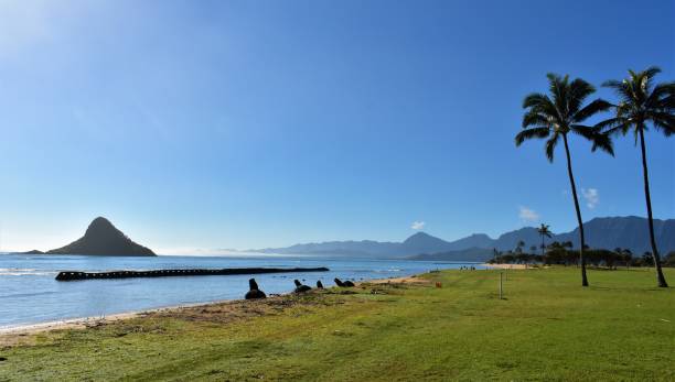 istock Small island off of windward Oahu 1132340048