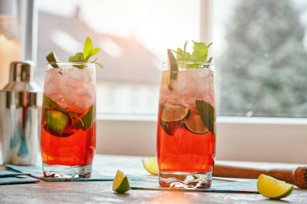 Kombucha Mojito with Fresh Mint and Ice