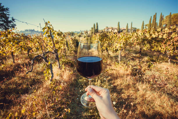 istock Happy drinker hand with wine glass. Natural grapeyard farm at sunny morning 1132342019