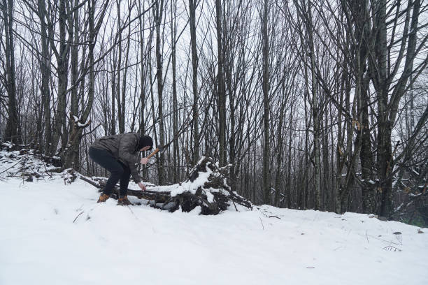 Lumberjack Man cutting wood in snow
