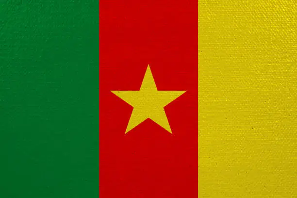 Photo of Cameroon flag on canvas