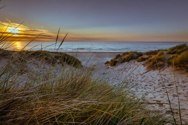 istock Sandy path leading from marram grass covered dunes towards the beach at sunset 1132352950