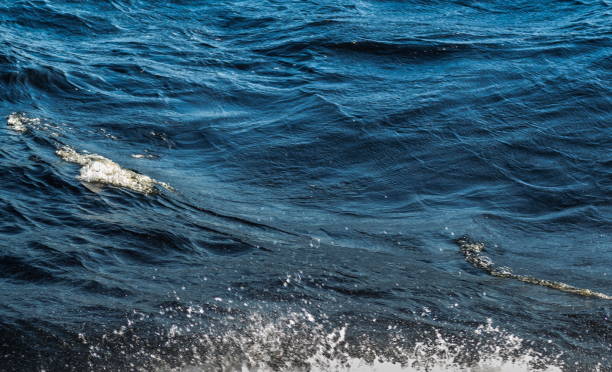 istock Gusts of wind forming small waves with foam 1132353182