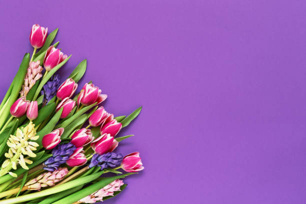 istock Spring flowers on violet background. Top view, copy space. Greeting card. 1132353189