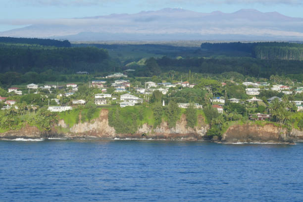 istock Coastline of Hilo, Hawaii, USA 1132357377