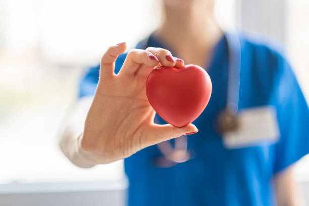 Heart as a symbol of life. Female doctor is holding a heart in the hands. Heart is a life! heart health stock pictures, royalty-free photos & images