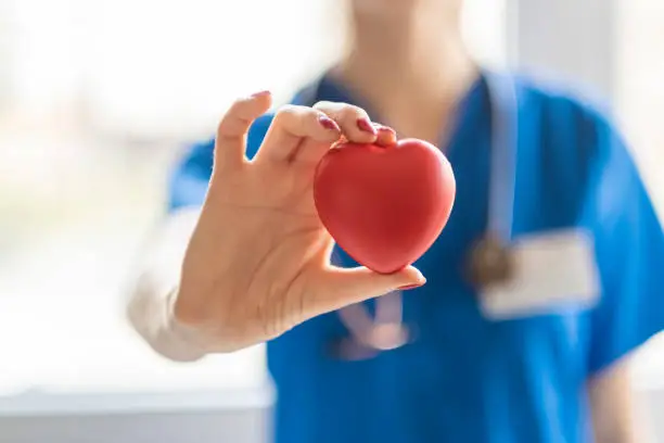 Female doctor is holding a heart in the hands. Heart is a life!