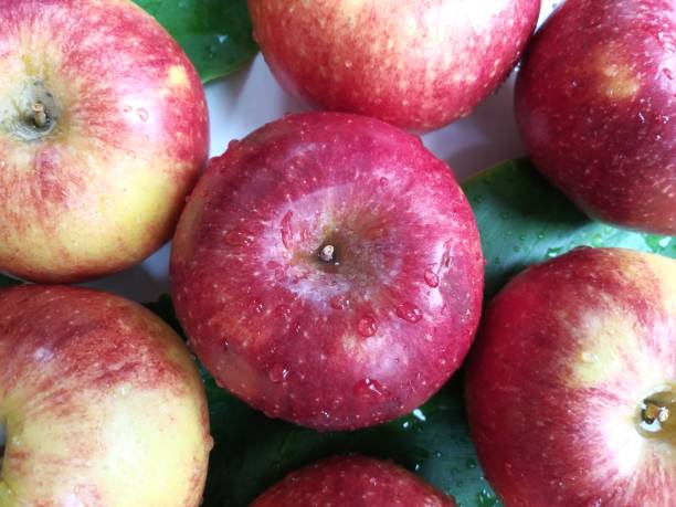 istock Fresh apple - one apple a day - keeps your doctor away 1132358518