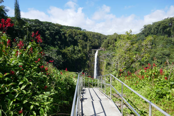 akaka falls state park, hawái, estados unidos - hawaii islands big island waterfall nobody fotografías e imágenes de stock