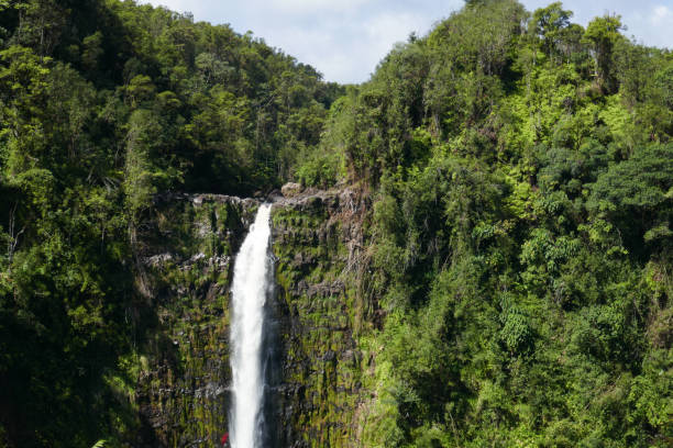istock Akaka Falls State Park, Hawaii, USA 1132360281